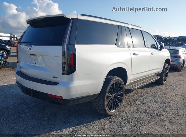 1GYS4NKL3PR194055 2023 CADILLAC ESCALADE Белый Задняя правая четверть