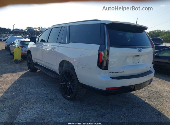 1GYS4NKL3PR194055 2023 CADILLAC ESCALADE Белый Задняя левая четверть