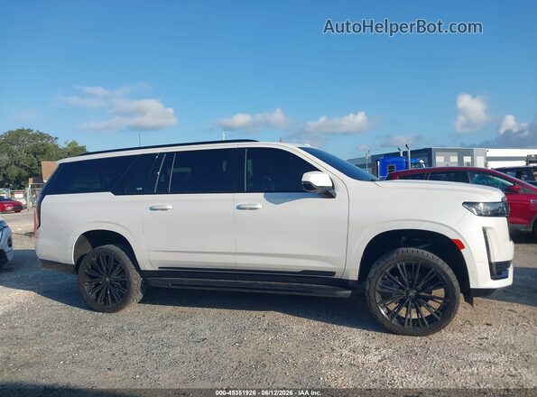 1GYS4NKL3PR194055 2023 CADILLAC ESCALADE Белый Вид задней части салона