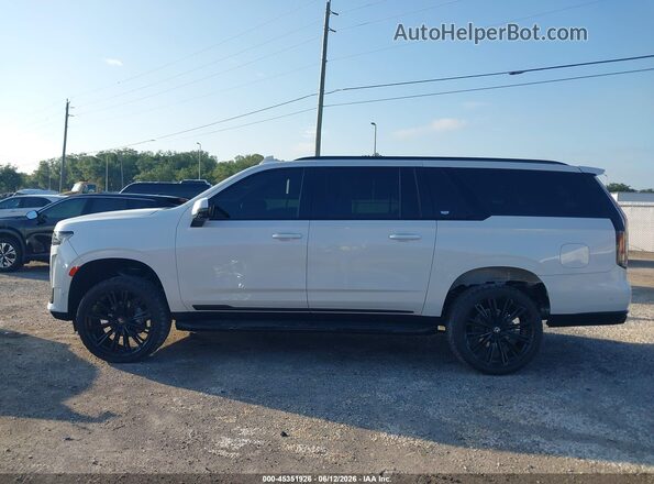 1GYS4NKL3PR194055 2023 CADILLAC ESCALADE Белый Панорамный вид салона 360°