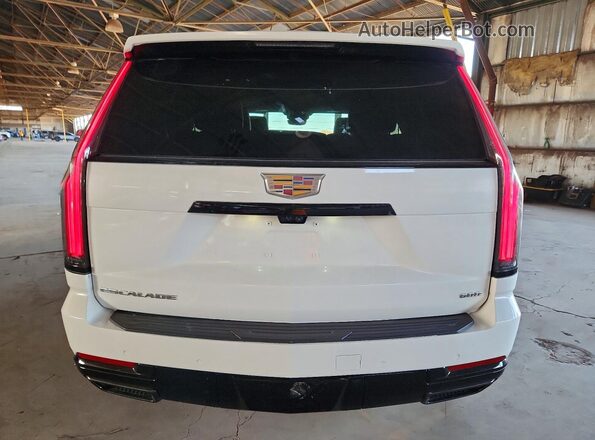 1GYS9FRL5SR331048 2025 CADILLAC ESCALADE Белый Вид сзади