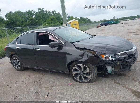 1HGCR2F04GA202187 2016 HONDA ACCORD Черный Панорамный вид салона 360°