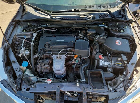 1HGCR2F14HA302168 2017 HONDA ACCORD Gray Вид задньої частини салону