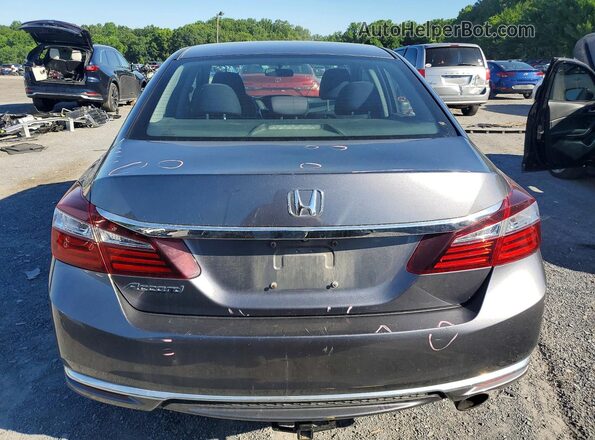 1HGCR2F37HA245871 2017 HONDA ACCORD Gray Вид ззаду