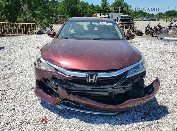 1HGCR2F38GA098930 2016 HONDA ACCORD Burgundy 