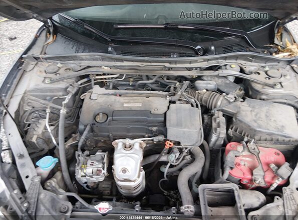 1HGCR2F53GA095550 2016 HONDA ACCORD Серый Вид сзади