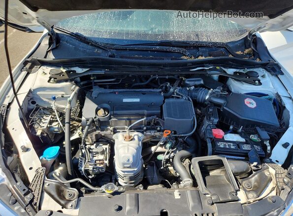 1HGCR2F55GA067538 2016 HONDA ACCORD White Widok wnętrza z tyłu