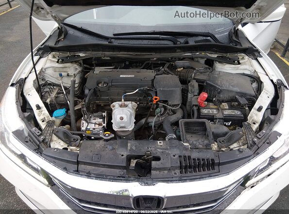 1HGCR2F59GA181879 2016 HONDA ACCORD White Widok z tyłu