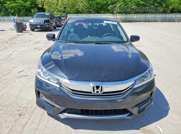 1HGCR2F71HA000910 2017 HONDA ACCORD Black 
