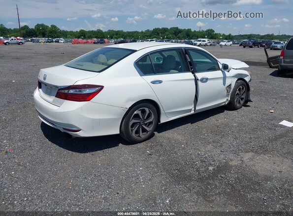 1HGCR2F82GA065675 2016 HONDA ACCORD White უკანა მარჯვენა