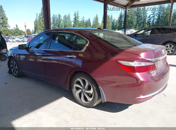 1HGCR2F82HA117517 2017 HONDA ACCORD Burgundy Задня ліва чверть