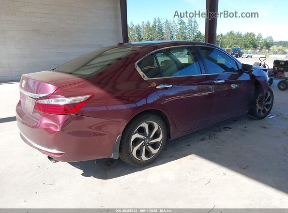 1HGCR2F82HA117517 2017 HONDA ACCORD Burgundy Задня права чверть