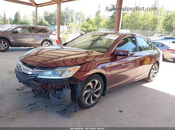 1HGCR2F82HA117517 2017 HONDA ACCORD Burgundy Передня ліва чверть