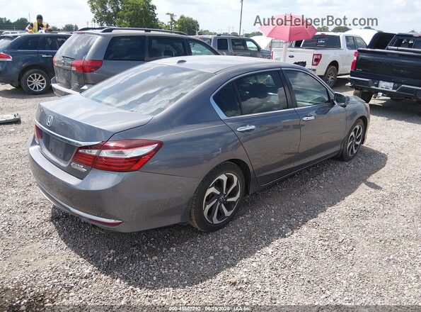1HGCR2F83HA074709 2017 HONDA ACCORD Gray უკანა მარჯვენა