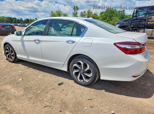 1HGCR2F83HA083328 2017 HONDA ACCORD White Задня ліва чверть