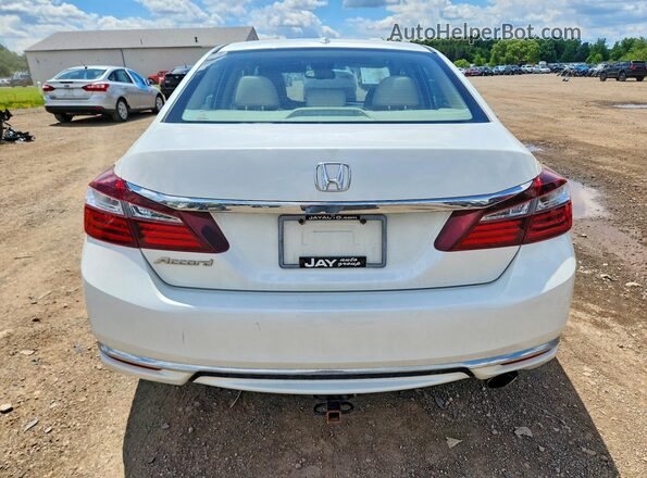 1HGCR2F83HA083328 2017 HONDA ACCORD White Вид ззаду