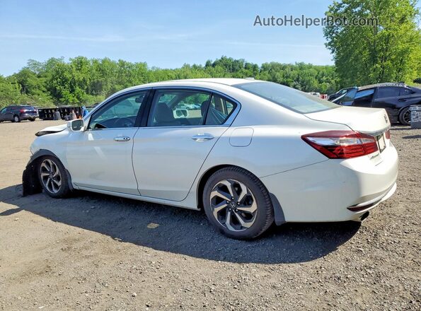 1HGCR3F80HA021018 2017 HONDA ACCORD White 
