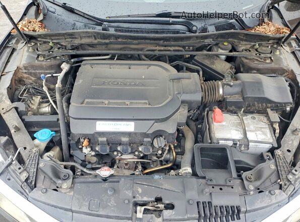 1HGCR3F80HA027062 2017 HONDA ACCORD Black Widok wnętrza z tyłu