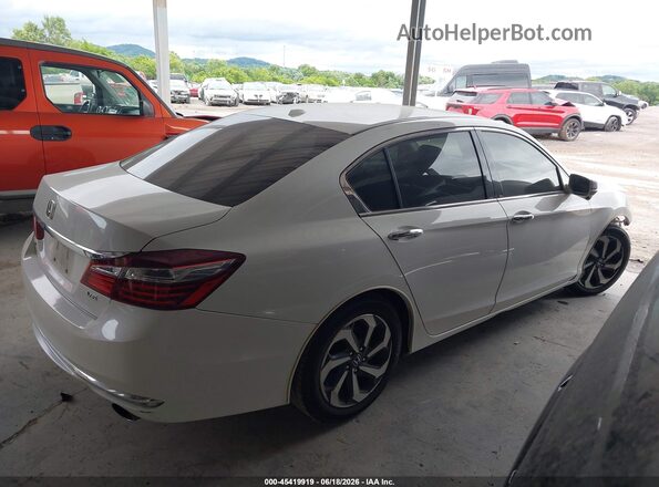 1HGCR3F81GA024752 2016 HONDA ACCORD Белый Вид задней части салона