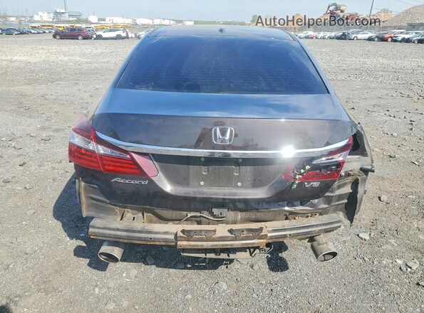 1HGCR3F82HA004155 2017 HONDA ACCORD Коричневый 