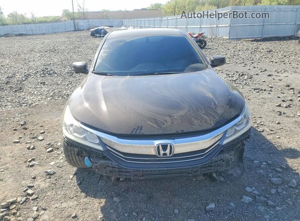 1HGCR3F82HA004155 2017 HONDA ACCORD Коричневый 