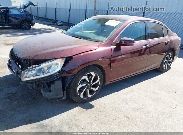 1HGCR3F82HA024955 2017 HONDA ACCORD Бордовый Вид задней части салона