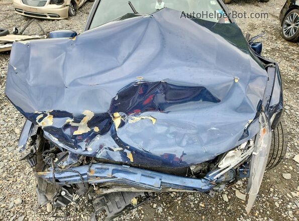 1HGCT1B76HA004050 2017 HONDA ACCORD Blue 