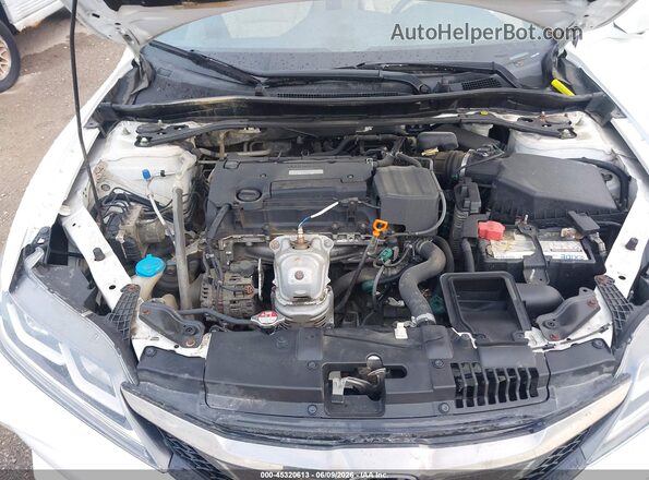 1HGCT1B83HA000918 2017 HONDA ACCORD White Widok z tyłu