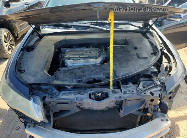1HGCT2B98GA004752 2016 HONDA ACCORD Gray Вид задньої частини салону