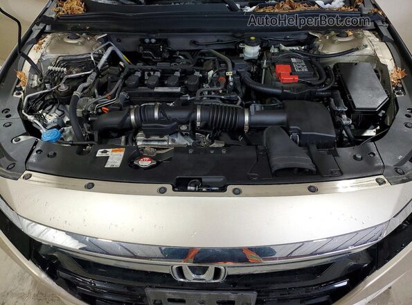 1HGCV1F11KA029140 2019 HONDA ACCORD Золотой Вид задней части салона