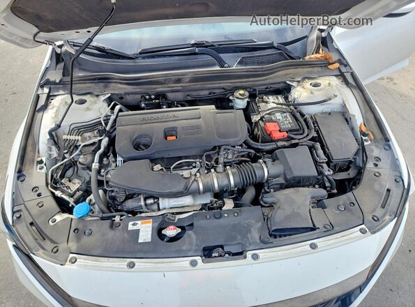 1HGCV2F33LA031884 2020 HONDA ACCORD Белый Вид задней части салона