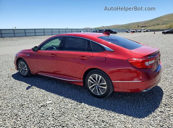 1HGCV3F50NA025597 2022 HONDA ACCORD Maroon Tył lewy