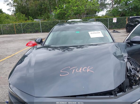 1HGCY1F28PA004341 2023 HONDA ACCORD Gray Widok z tyłu