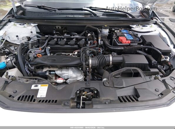 1HGCY1F31PA047315 2023 HONDA ACCORD White Widok z tyłu