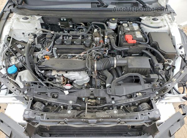 1HGCY1F34RA090081 2024 HONDA ACCORD White Widok wnętrza z tyłu
