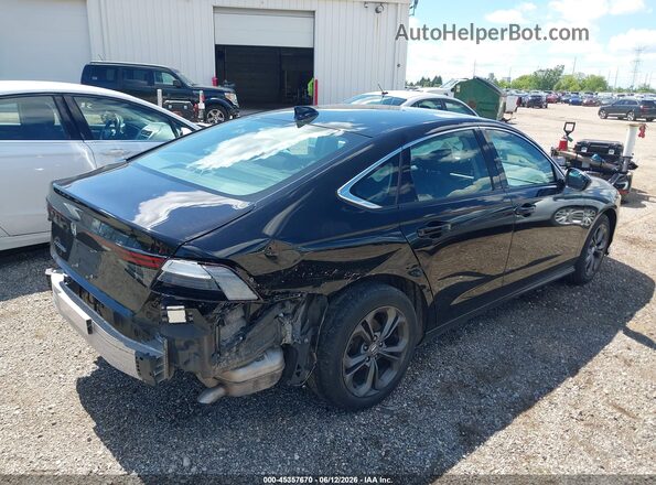 1HGCY1F39PA006981 2023 HONDA ACCORD Black Rear right