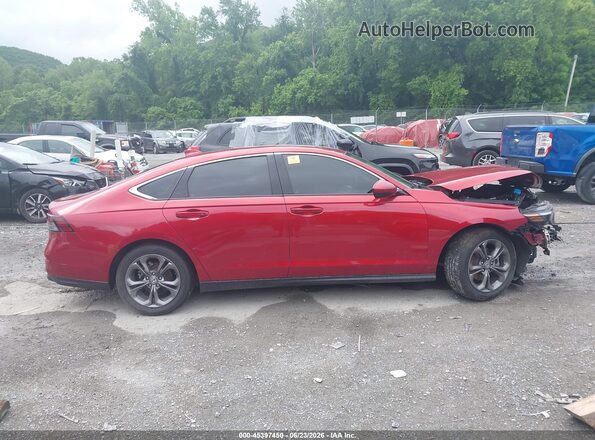1HGCY1F3XRA049342 2024 HONDA ACCORD Burgundy Widok wnętrza z tyłu
