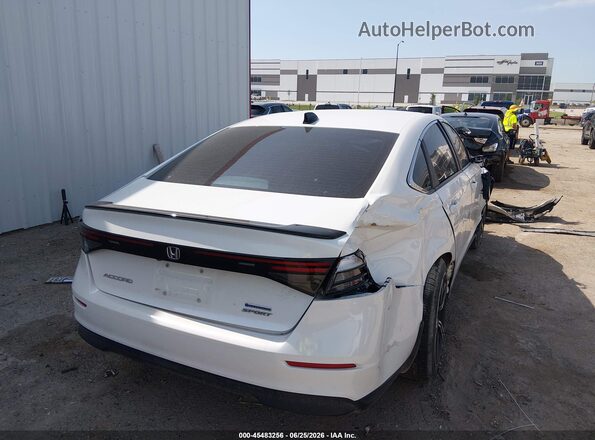 1HGCY2F50RA025302 2024 HONDA ACCORD White Задня права чверть