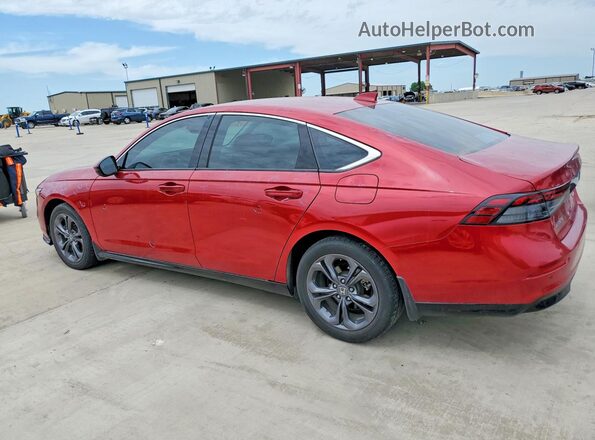 1HGCY2F66RA054330 2024 HONDA ACCORD Red Հետևի ձախ