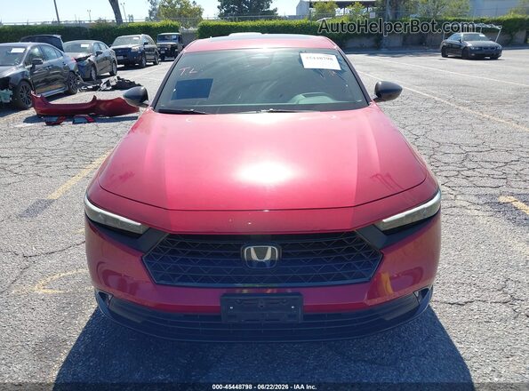 1HGCY2F74RA068901 2024 HONDA ACCORD Red Widok wnętrza z tyłu
