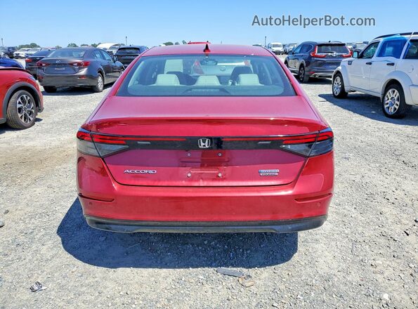 1HGCY2F83RA041679 2024 HONDA ACCORD Red Widok z tyłu