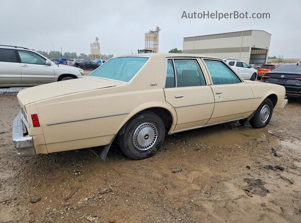 1L69G9C173255 1979 CHEVROLET IMPALA Кремовый Задняя правая четверть