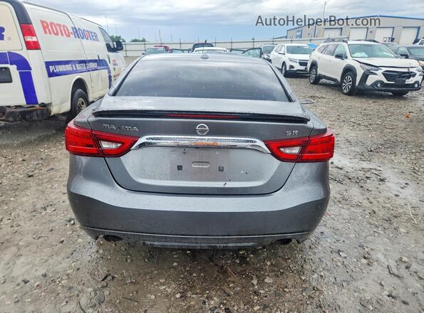 1N4AA6AP0GC402440 2016 NISSAN MAXIMA Серый Вид сзади