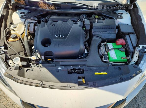 1N4AA6AP0GC441285 2016 NISSAN MAXIMA White Widok wnętrza z tyłu