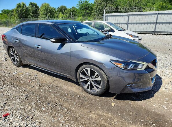 1N4AA6AP0HC422303 2017 NISSAN MAXIMA Gray 