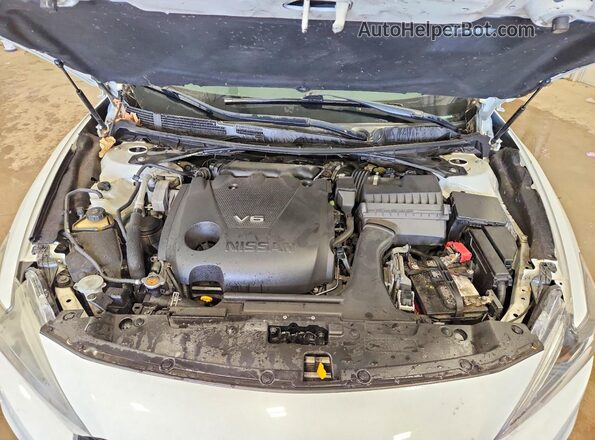 1N4AA6AP0HC440879 2017 NISSAN MAXIMA Белый Вид задней части салона