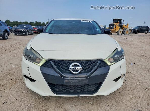 1N4AA6AP1GC377435 2016 NISSAN MAXIMA Белый Вид спереди