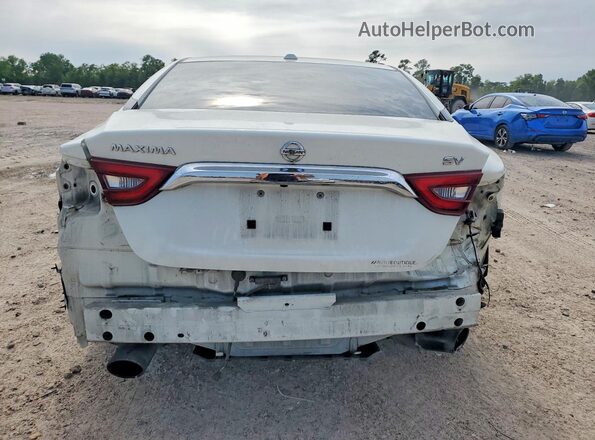 1N4AA6AP1GC377435 2016 NISSAN MAXIMA Белый Вид сзади