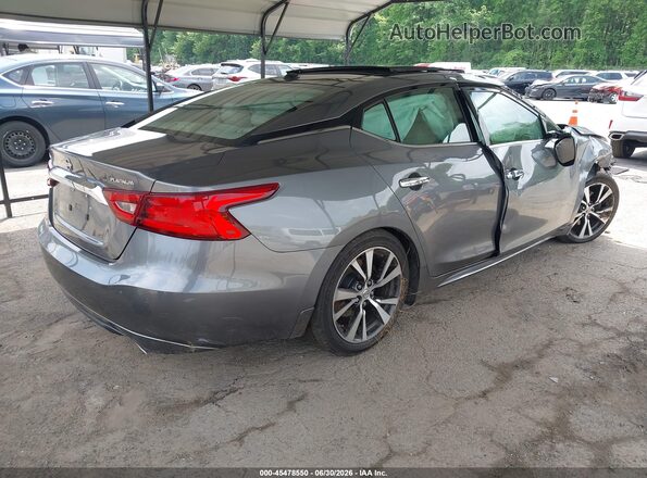 1N4AA6AP1GC412765 2016 NISSAN MAXIMA Gray Задня права чверть
