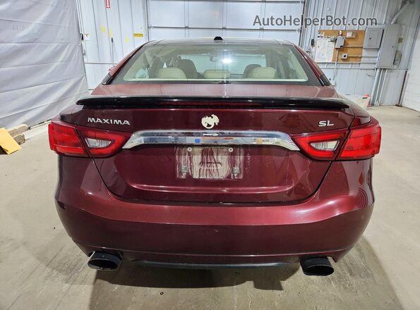 1N4AA6AP1GC448276 2016 NISSAN MAXIMA Бордовый Вид сзади